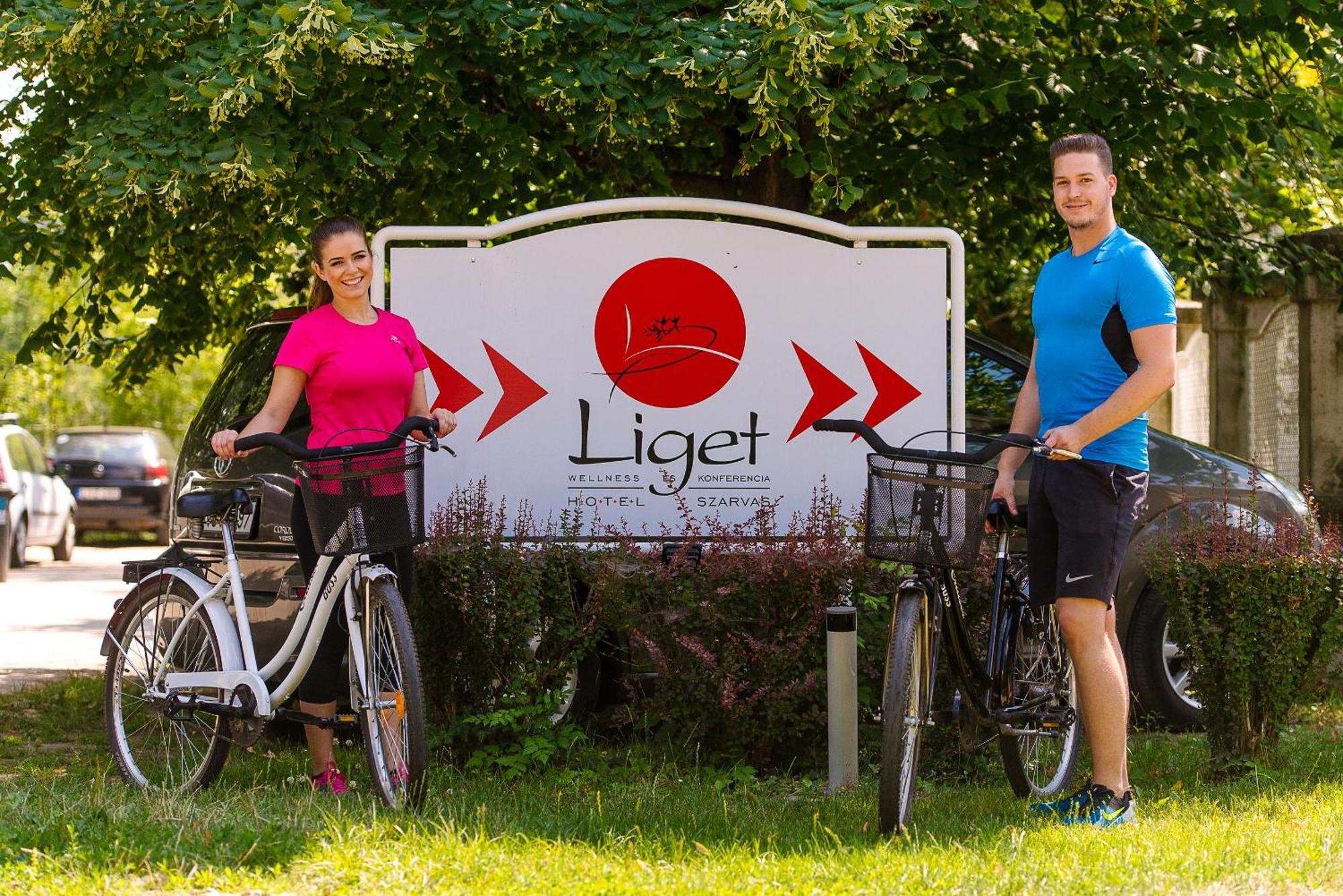 Liget Wellness Es Konferencia Hotel Szarvas Exterior photo